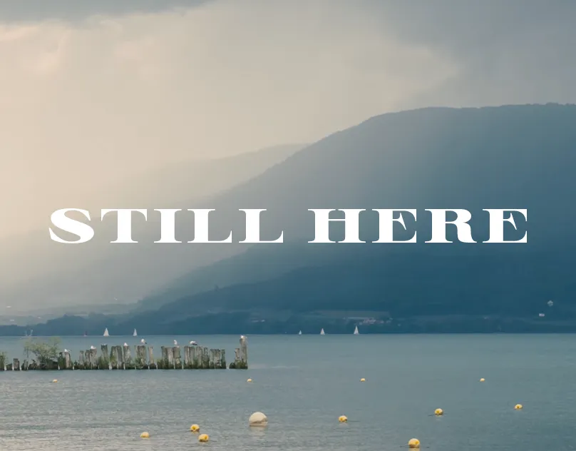 Screenshot          of the project Still Here.